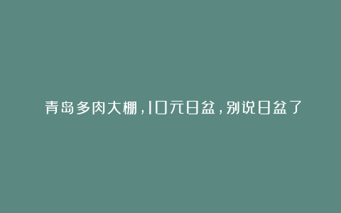 ​青岛多肉大棚，10元8盆，别说8盆了，10盆都没人买了