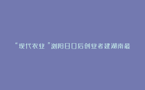 “现代农业＋”浏阳80后创业者建湖南最大多肉植物培育批发基地