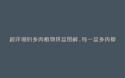 超详细的多肉植物拼盆图解，每一盆多肉都成为了一个世界！