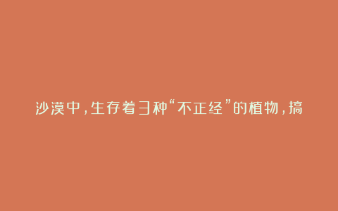 沙漠中，生存着3种“不正经”的植物，搞笑又让人心疼！