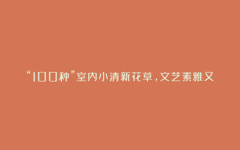 “100种”室内小清新花草，文艺素雅又俏皮可爱，看看你喜欢哪个