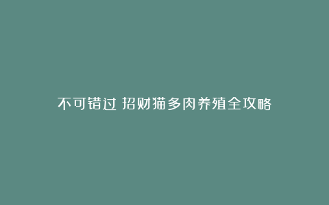 不可错过！招财猫多肉养殖全攻略