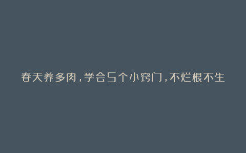 春天养多肉，学会5个小窍门，不烂根不生虫，别有神韵，美不胜收