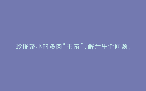 玲珑娇小的多肉“玉露”，解开4个问题，养成剔透“绿宝石”