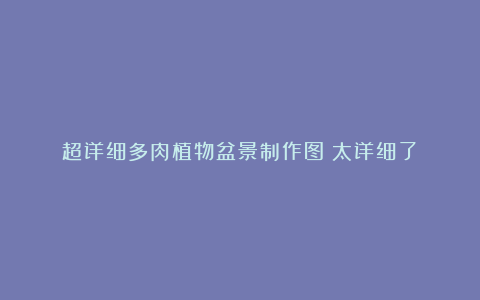 超详细多肉植物盆景制作图！太详细了！