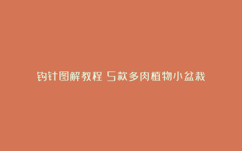 钩针图解教程丨5款多肉植物小盆栽