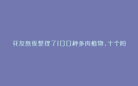 花友熬夜整理了100种多肉植物，十个阳台都盛不下！