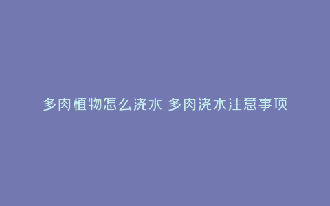 多肉植物怎么浇水？多肉浇水注意事项