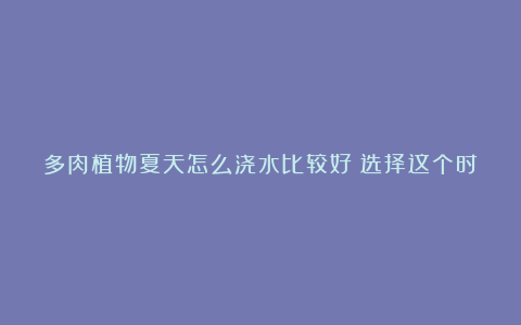 多肉植物夏天怎么浇水比较好？选择这个时间，多肉呼呼长！