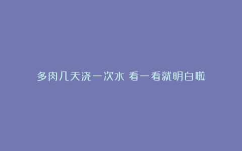 多肉几天浇一次水？看一看就明白啦