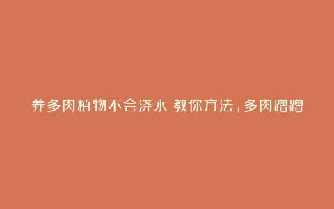 养多肉植物不会浇水？教你方法，多肉蹭蹭长爆盆！