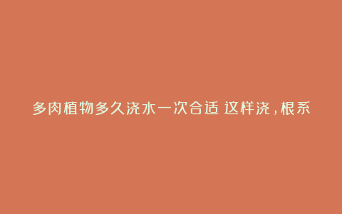 多肉植物多久浇水一次合适？这样浇，根系旺，更壮更美