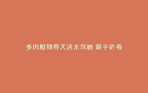 多肉植物春天浇水攻略！新手必看！