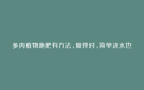 多肉植物施肥有方法，做得对，简单浇水也能长肥！