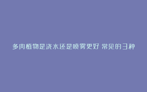 多肉植物是浇水还是喷雾更好？常见的3种浇水方式一起来看看吧！