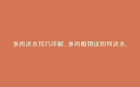 多肉浇水技巧详解，多肉植物该如何浇水、又适合浇什么样的水？