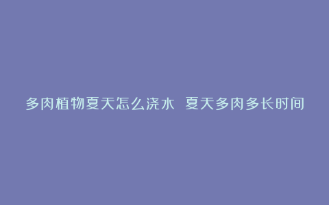 多肉植物夏天怎么浇水 夏天多肉多长时间浇水一次