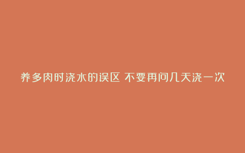 养多肉时浇水的误区！不要再问几天浇一次水了，这种“懒人”想法会害死多肉的！