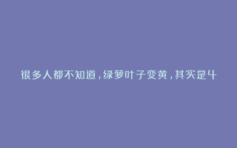 很多人都不知道，绿萝叶子变黄，其实是4种原因造成的