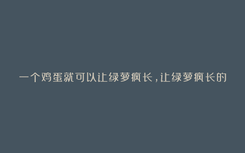 一个鸡蛋就可以让绿萝疯长，让绿萝疯长的妙招