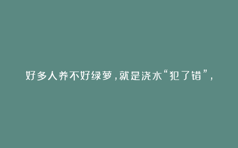 好多人养不好绿萝，就是浇水“犯了错”，教你正确浇水方法