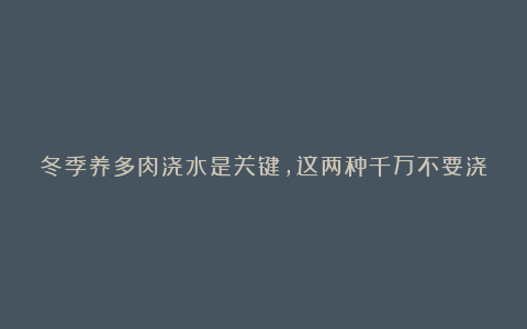 冬季养多肉浇水是关键，这两种千万不要浇，否则肉肉“死”给你看