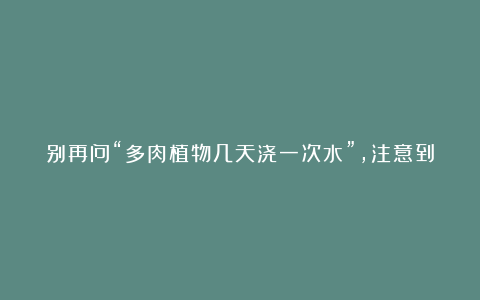 别再问“多肉植物几天浇一次水”，注意到这几个小细节就足够了