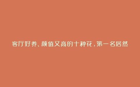 客厅好养、颜值又高的十种花，第一名居然是多肉，你养了吗？