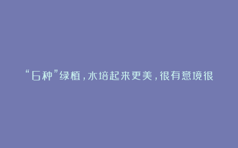 “6种”绿植，水培起来更美，很有意境很有小情趣，干净美观茂盛