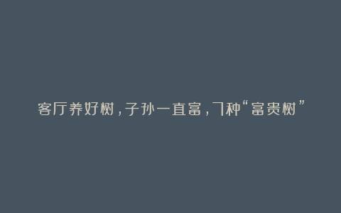 客厅养好树，子孙一直富，7种“富贵树”，高雅贵气，旺家旺后代