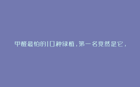 甲醛最怕的10种绿植，第一名竟然是它，绿萝排名倒数，看完赶紧收藏！