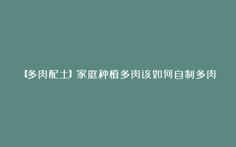 【多肉配土】家庭种植多肉该如何自制多肉配土？需要注意哪些方面？