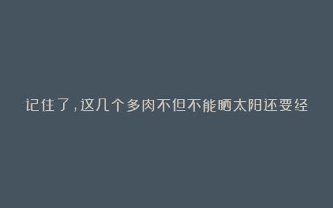 记住了，这几个多肉不但不能晒太阳还要经常保湿，否则会死光！