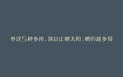 养这5种多肉，别总让晒太阳，晒的越多损失越大