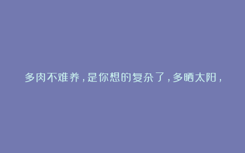 多肉不难养，是你想的复杂了，多晒太阳，种到土里就能活