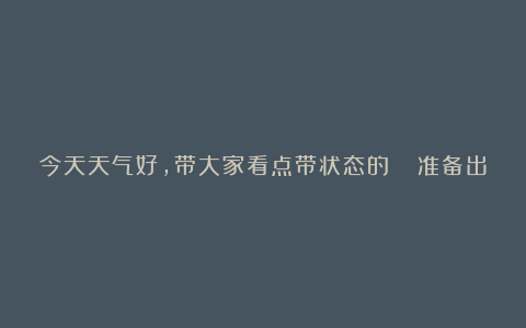 今天天气好，带大家看点带状态的😊准备出去露养了……#多肉