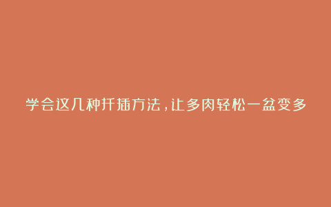 学会这几种扦插方法，让多肉轻松一盆变多盆！