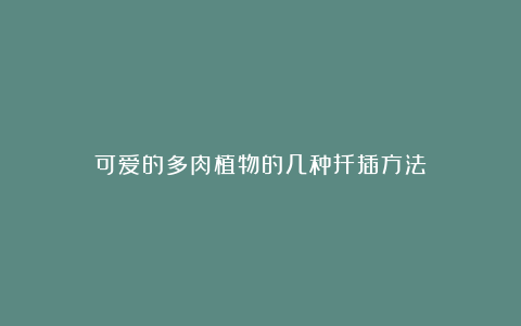 可爱的多肉植物的几种扦插方法