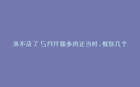 来不及了！5月扦插多肉正当时，教你几个小技巧，生根快小苗即多头