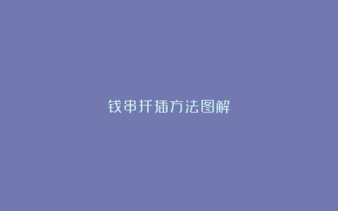 钱串扦插方法图解