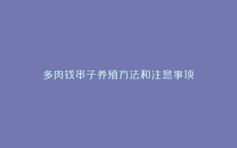 多肉钱串子养殖方法和注意事项！