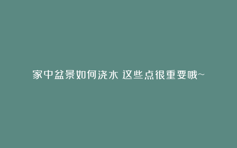 家中盆景如何浇水？这些点很重要哦~