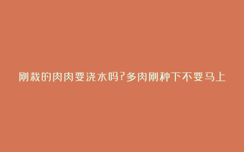 刚栽的肉肉要浇水吗?多肉刚种下不要马上浇水