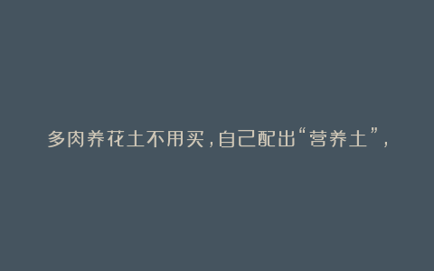 多肉养花土不用买，自己配出“营养土”，方法简单肥力好