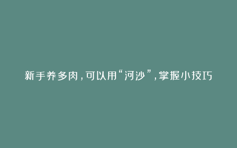 新手养多肉，可以用“河沙”，掌握小技巧，轻松养出状态