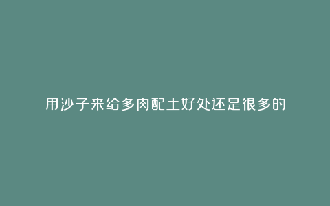 用沙子来给多肉配土好处还是很多的