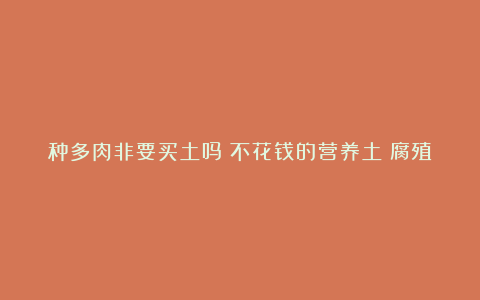 种多肉非要买土吗？不花钱的营养土：腐殖土配松针