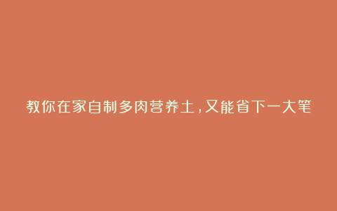 教你在家自制多肉营养土，又能省下一大笔银子！