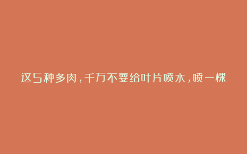 这5种多肉，千万不要给叶片喷水，喷一棵死一棵，记好了，别落下！