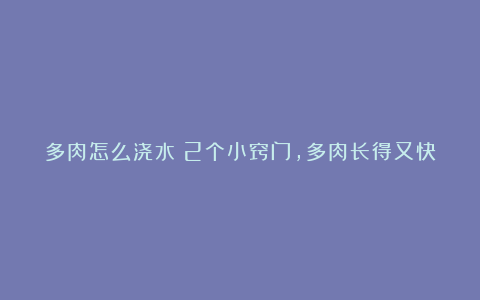 多肉怎么浇水？2个小窍门，多肉长得又快又胖，状态美极了